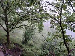 ویلا جنگلی پنجک مرزن آباد ویلا جنگلی پنجک مرزن آباد