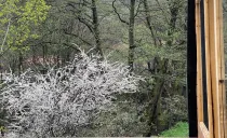 کلبه سوئیسی اَبرا سوادکوه کلبه سوئیسی اَبرا سوادکوه