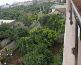 آپارتمان مبله دریا کلاچای آپارتمان مبله دریا کلاچای