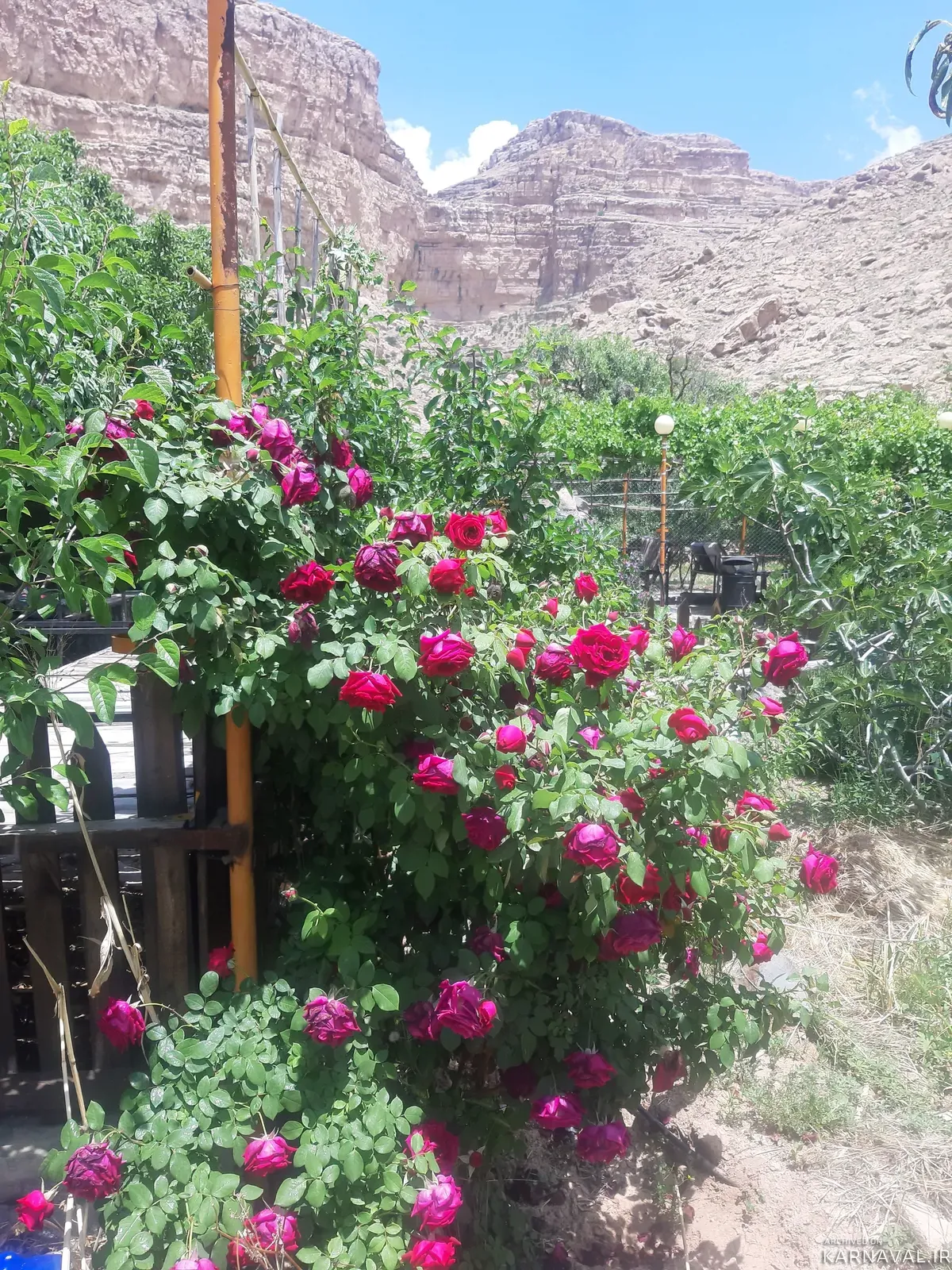 سوییت کوهستانی آبشار نراق سوییت کوهستانی آبشار نراق