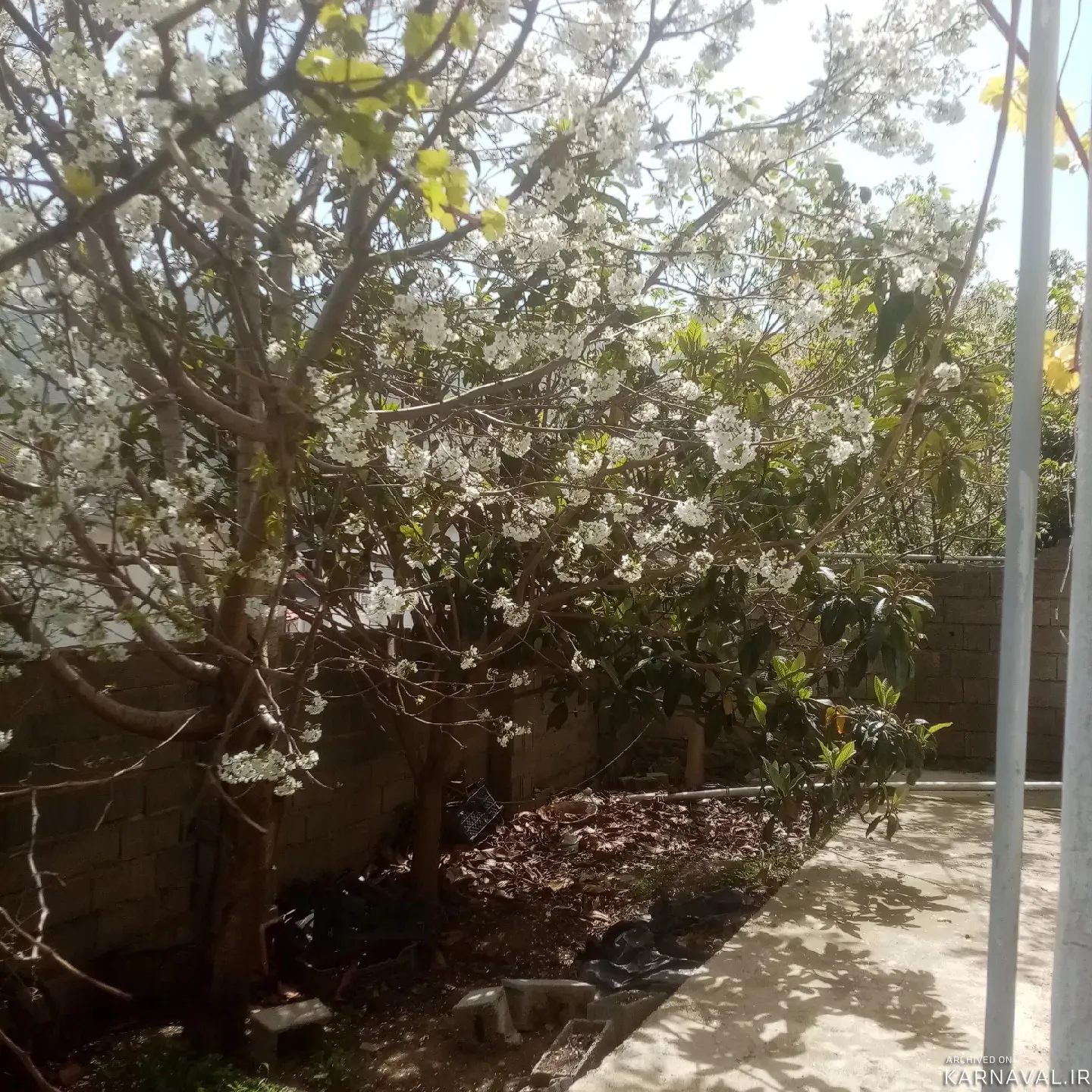 ویلا کوهسار مرزن آباد ویلا کوهسار مرزن آباد