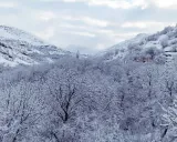 اقامتگاه بومگردی گلال (طبقه پایین) پاوه اقامتگاه بومگردی گلال (طبقه پایین) پاوه