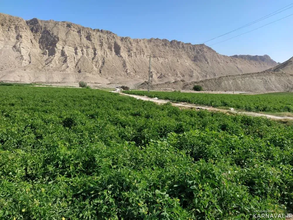 اقامتگاه بوم‌گردی کردلان (اتاق شماره 3) دشتی