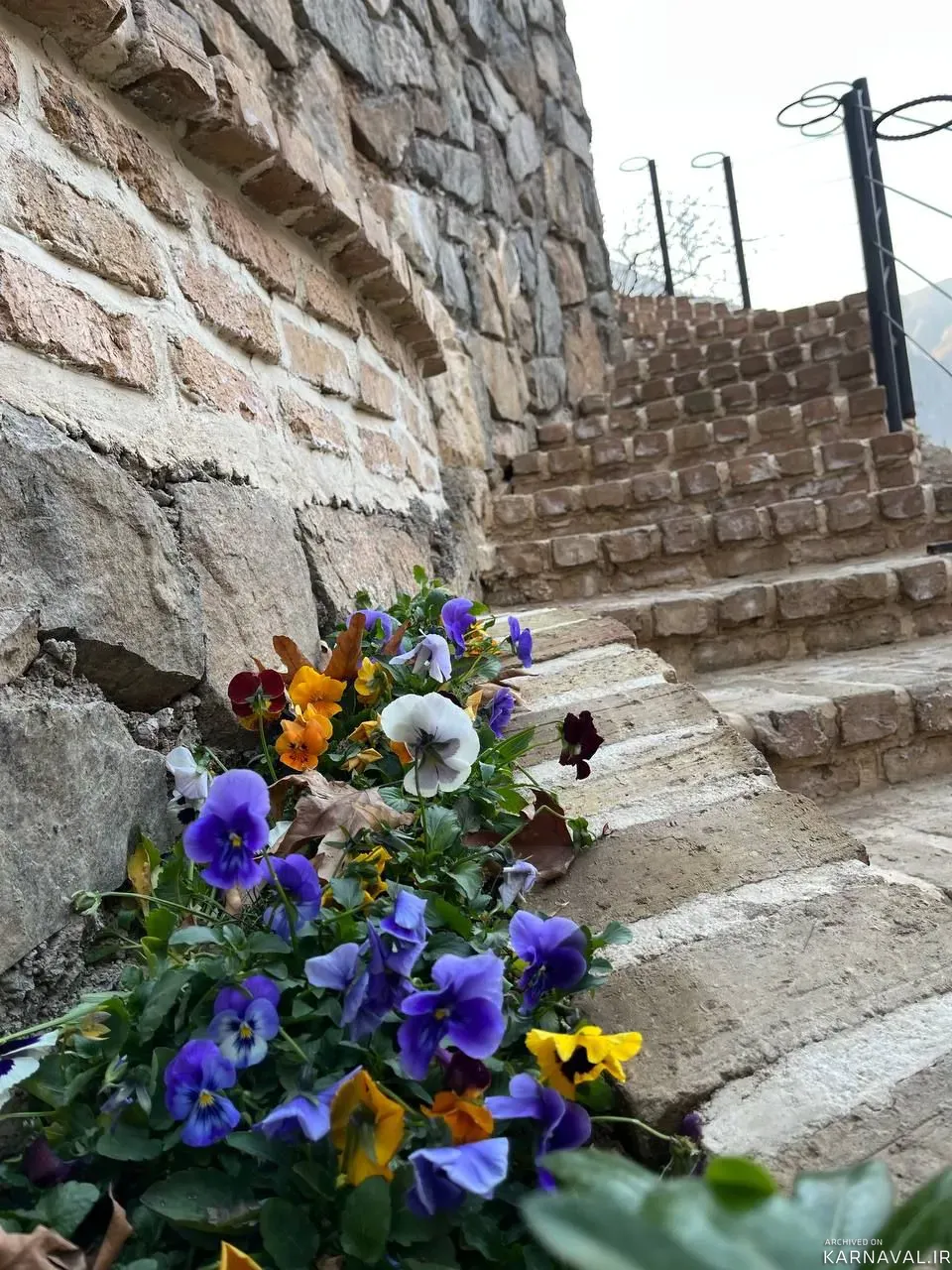 کلبه صخره  آسارا