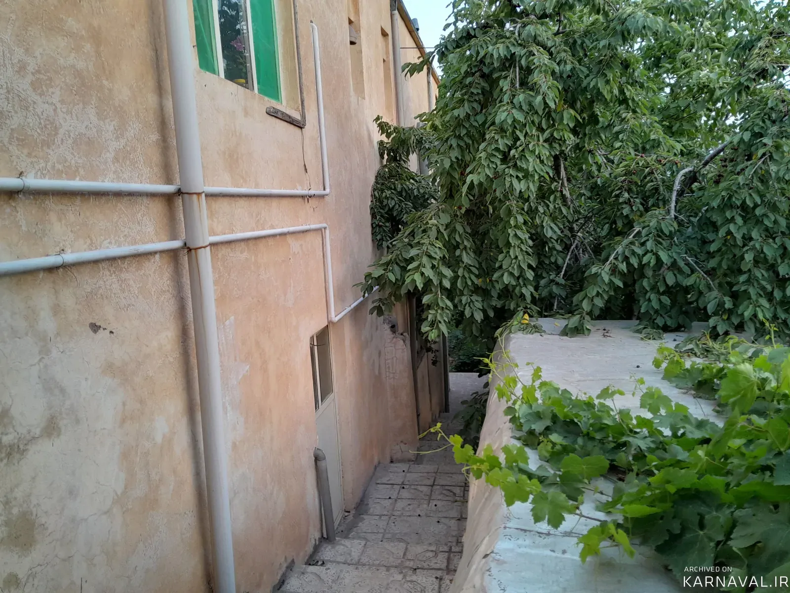 عکس