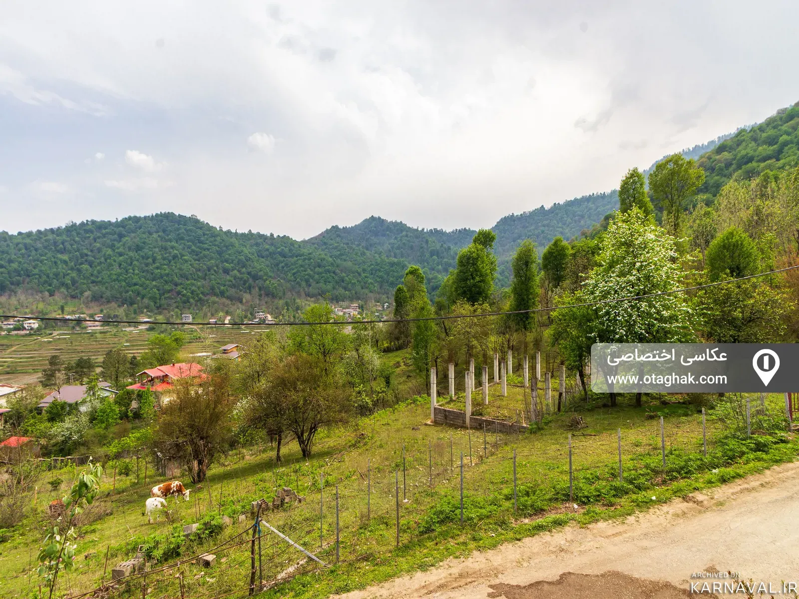کلبه چوبی ابیشی ماسال