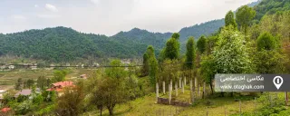 کلبه چوبی ابیشی ماسال کلبه چوبی ابیشی ماسال