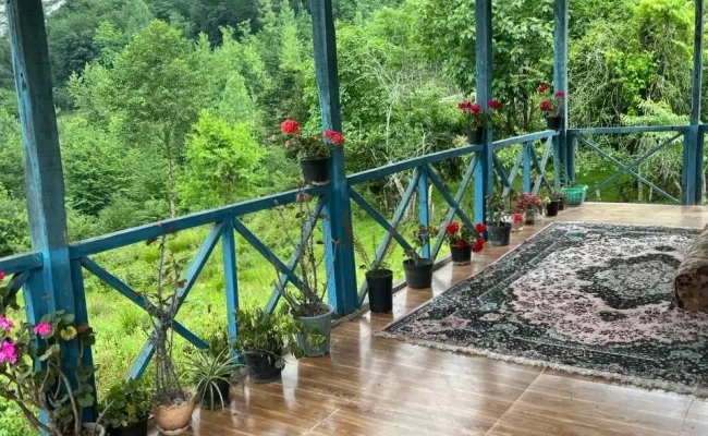 ویلا جنگلی عمو سعید سوادکوه ویلا جنگلی عمو سعید سوادکوه