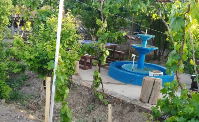 اقامتگاه بومگردی ثامن (واحد4) فردوس اقامتگاه بومگردی ثامن (واحد4) فردوس