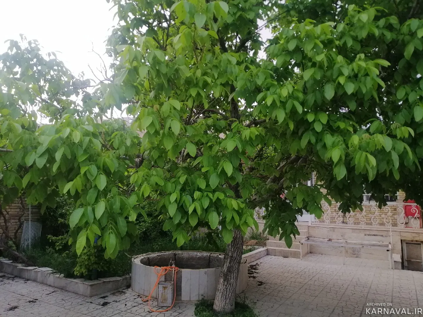 ویلا ویلایی یاس شهمیرزاد ویلا ویلایی یاس شهمیرزاد