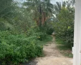 سوییت ویلایی باغی هومان (همکف) پارسیان سوییت ویلایی باغی هومان (همکف) پارسیان