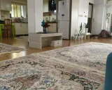 ویلا بام جنگلی شفت ویلا بام جنگلی شفت