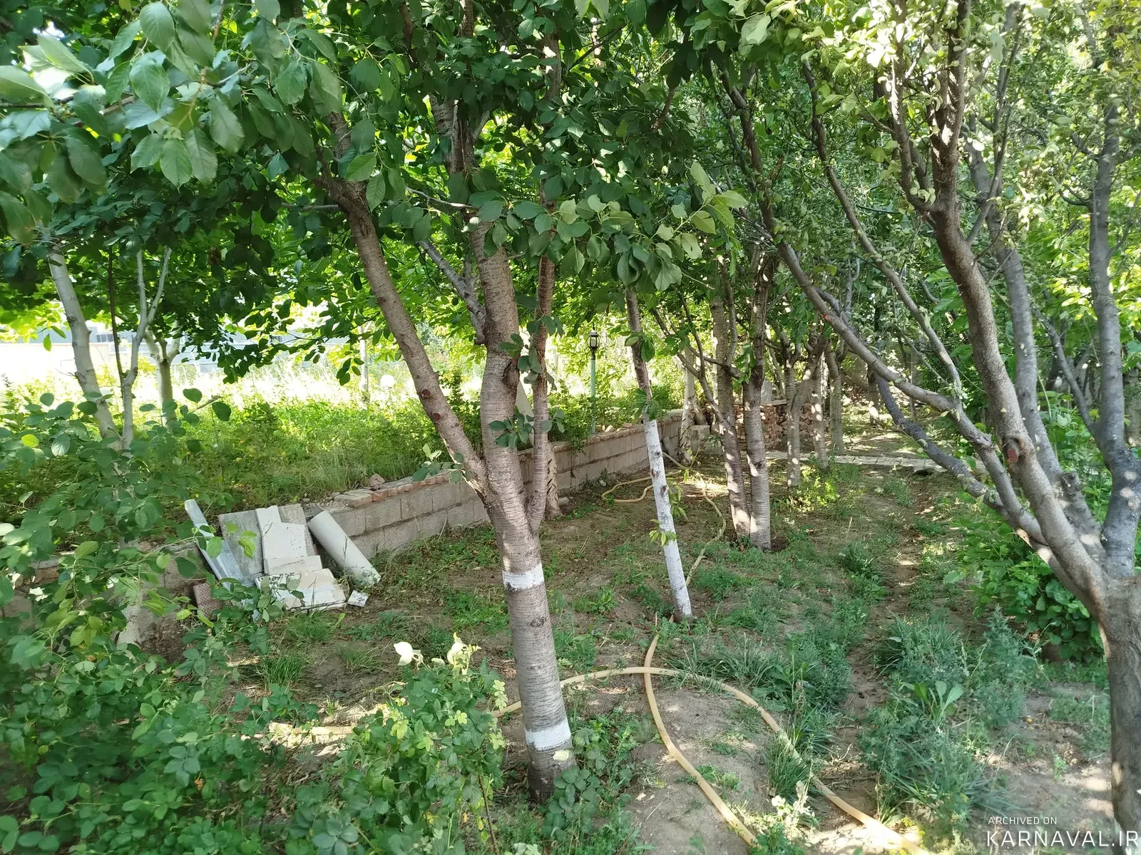 سوییت حور (کوه سنگر) اردبیل