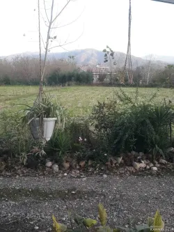 سوییت ویلایی علیدوست سراوان سوییت ویلایی علیدوست سراوان