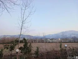 سوییت ویلایی علیدوست سراوان سوییت ویلایی علیدوست سراوان