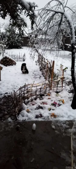 ویلا آناهید سراوان ویلا آناهید سراوان