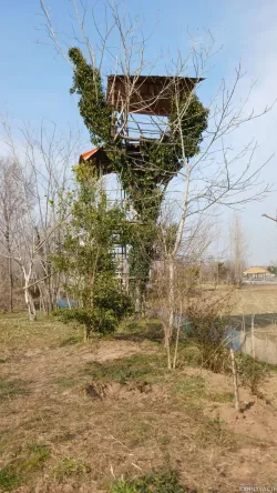 سوییت ویلایی علیدوست سراوان سوییت ویلایی علیدوست سراوان