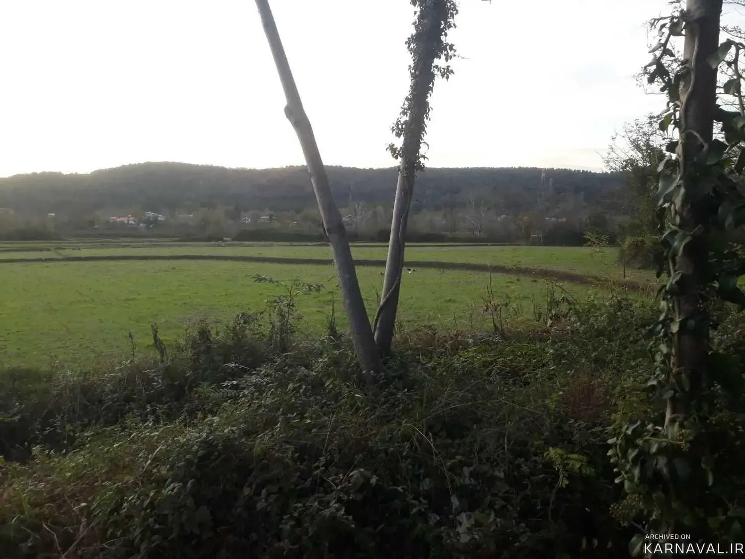 سوییت  ویلایی علیدوست سراوان