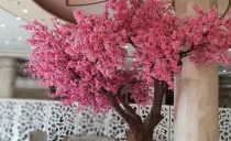 هتل طلاییه قم هتل طلاییه قم