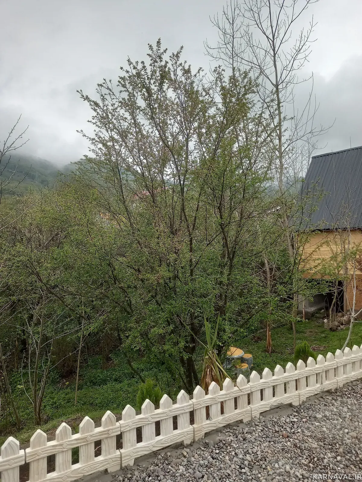 کلبه چوبی گیلداد سراوان