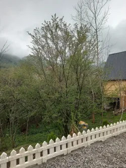 کلبه چوبی گیلداد سراوان کلبه چوبی گیلداد سراوان