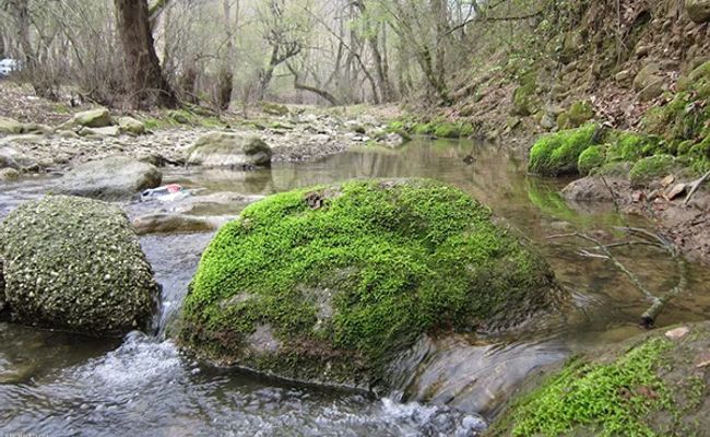 تنگه چهل چای مینودشت تنگه چهل چای مینودشت