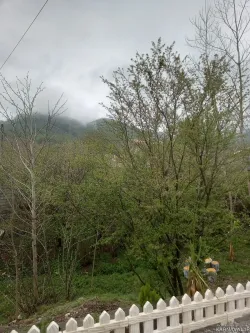 کلبه چوبی گیلداد سراوان کلبه چوبی گیلداد سراوان