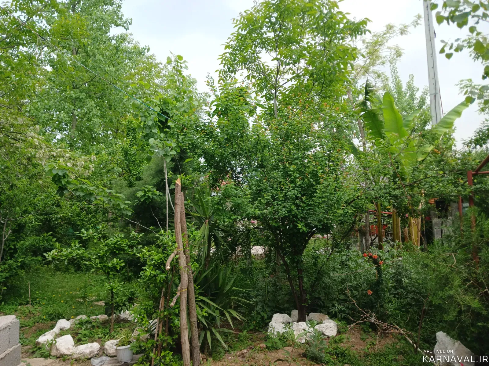 سوییت  ویلایی علیدوست سراوان