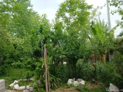 سوییت ویلایی علیدوست سراوان سوییت ویلایی علیدوست سراوان