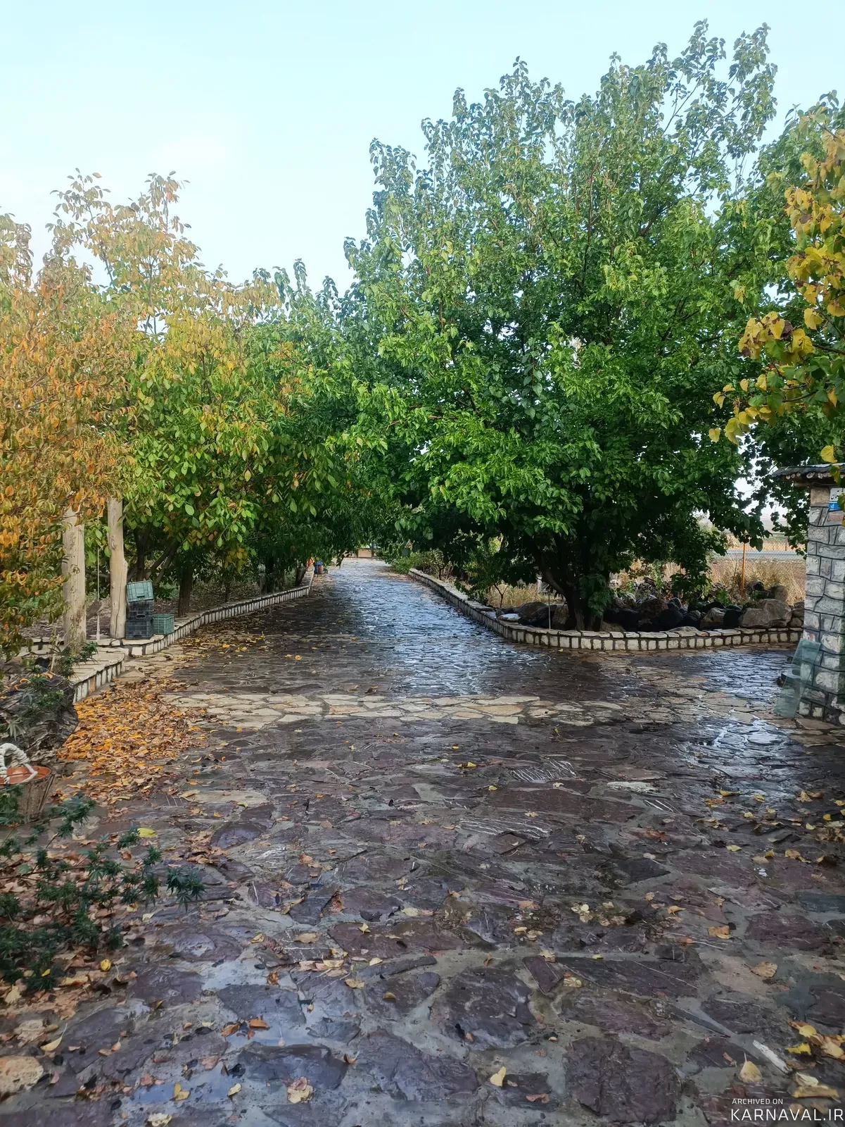 سوییت ویلایی باغ چوارچرا کامیاران سوییت ویلایی باغ چوارچرا کامیاران