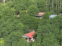 سوییت مبله کوهسار آسارا سوییت مبله کوهسار آسارا