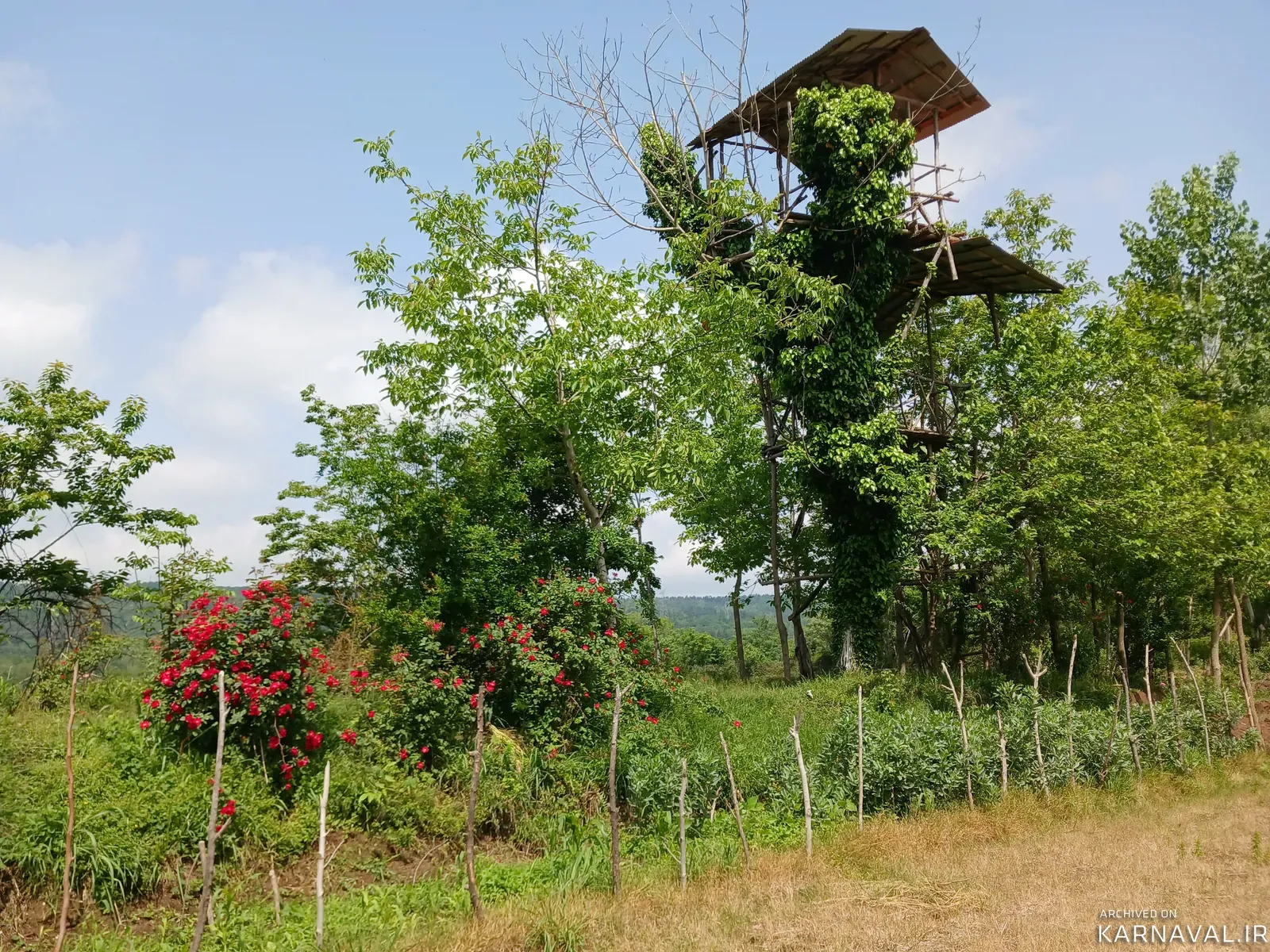 سوییت  ویلایی علیدوست سراوان