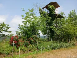 سوییت ویلایی علیدوست سراوان سوییت ویلایی علیدوست سراوان