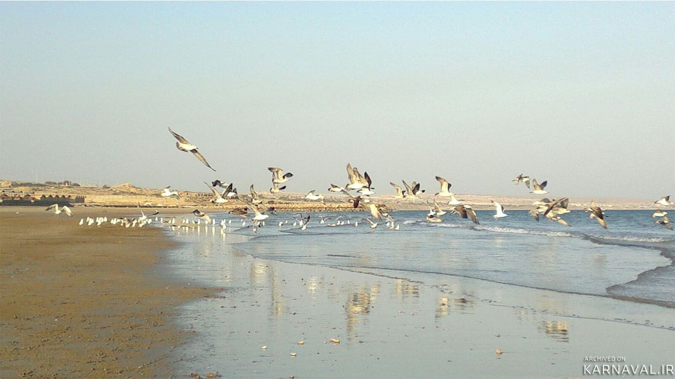 هتل ساحل طلایی قشم هتل ساحل طلایی قشم