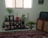 آپارتمان شهرک صدرا صدرا آپارتمان شهرک صدرا صدرا