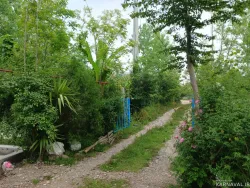 سوییت ویلایی علیدوست سراوان سوییت ویلایی علیدوست سراوان