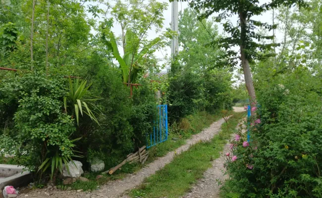 سوییت ویلایی علیدوست سراوان سوییت ویلایی علیدوست سراوان