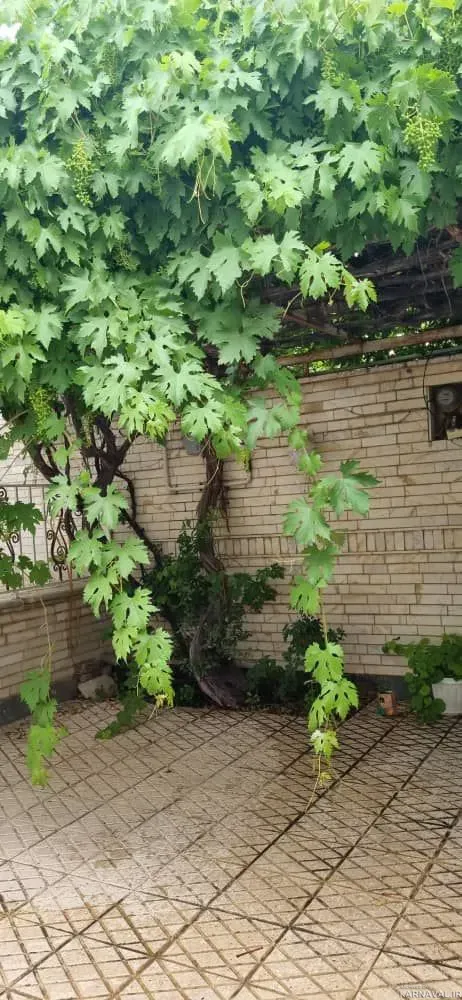 ویلا فردوسی شهمیرزاد