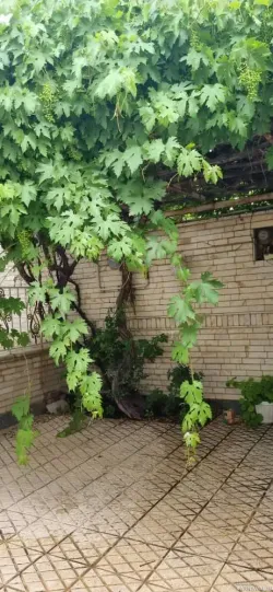 ویلا فردوسی شهمیرزاد ویلا فردوسی شهمیرزاد