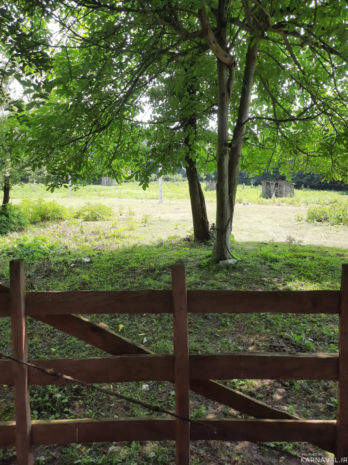 ویلا  جنگلی صنوبر جان سراوان