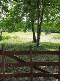 ویلا جنگلی صنوبر جان سراوان ویلا جنگلی صنوبر جان سراوان