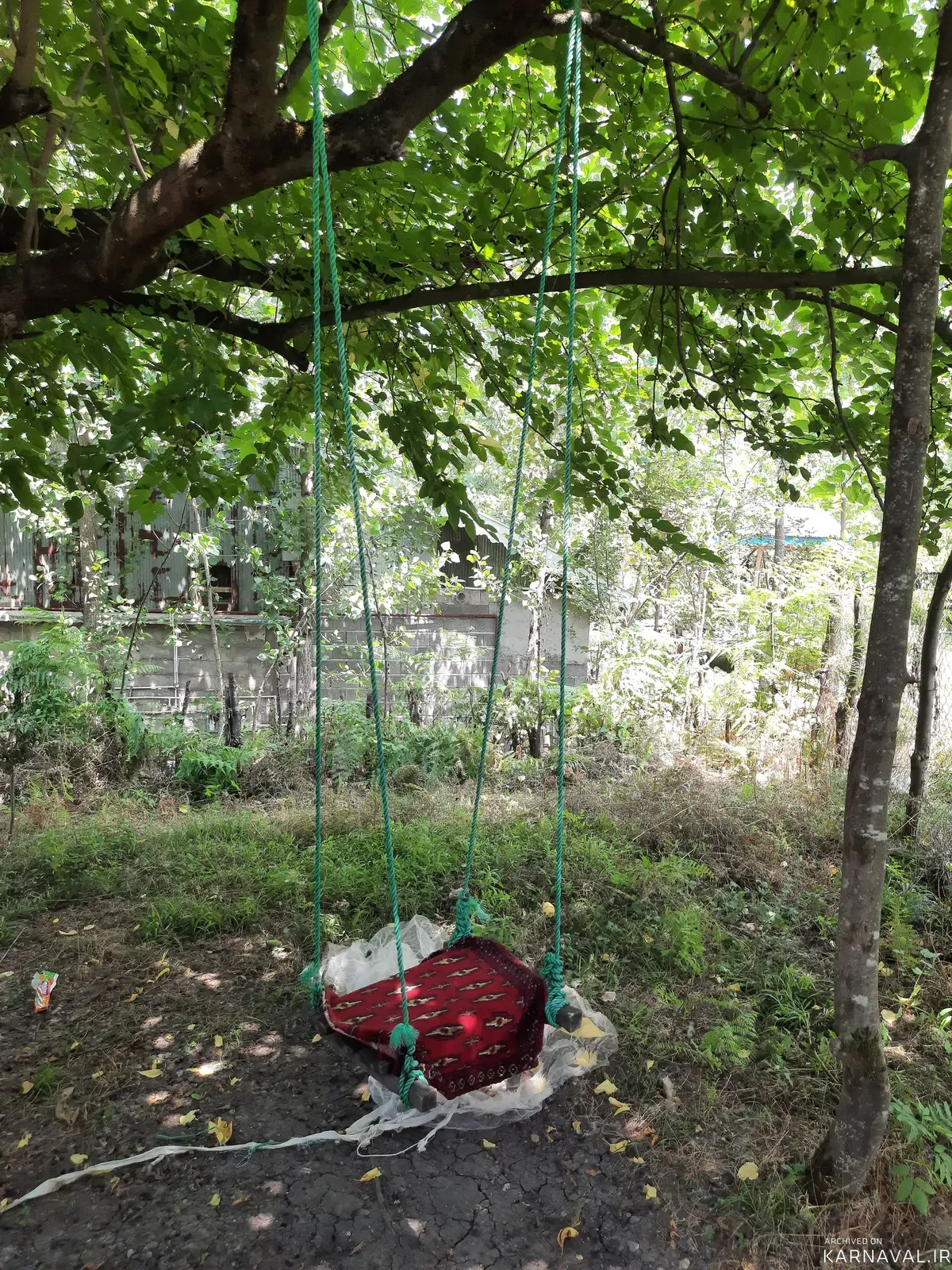 ویلا  جنگلی صنوبر جان سراوان