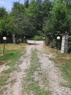 ویلا جنگلی صنوبر جان سراوان ویلا جنگلی صنوبر جان سراوان