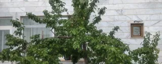 خانه وانیا ابهر خانه وانیا ابهر