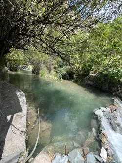 کلبه کشفی آسارا کلبه کشفی آسارا