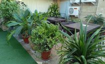 هتل رز مکران چابهار هتل رز مکران چابهار