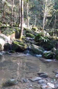 خانه‌ای نوساز برای زیباپسندان
