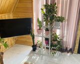 کلبه سوئیسی نقلی تک خواب با حیاطی دربست کلبه سوئیسی نقلی تک خواب با حیاطی دربست