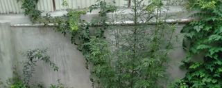 واحد ویلایی و دو خوابه با دسترسی عالی واحد ویلایی و دو خوابه با دسترسی عالی