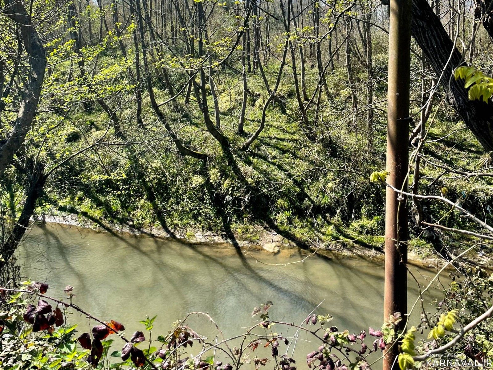 سؤییت نوساز ستاره شهر